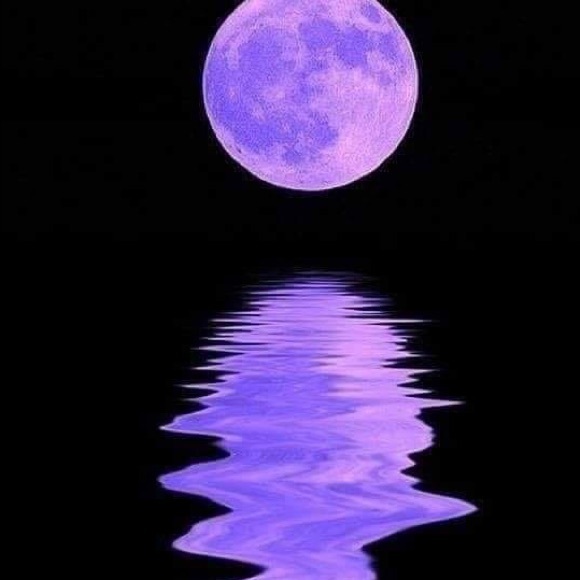 Meet your Posher, Marianne - Picture 1 of 1